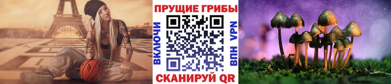 Купить закладки  Алупка  Галлюциногенные грибы MAGIC MUSHROOMS 